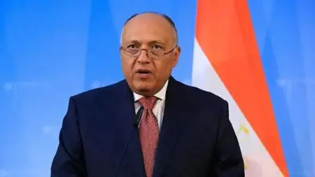 مصر:" الهجمات الإسرائيلية على غزة تهدد الأمن الإقليمي" مصر:" الهجمات الإسرائيلية على غزة تهدد الأمن الإقليمي"