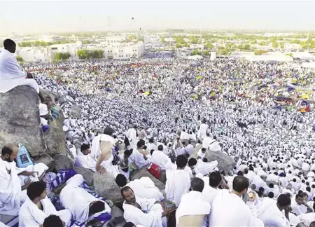 خير الدعاء دعاء يوم عرفة "يوم المغفرة واستجابة الدعاء" خير الدعاء دعاء يوم عرفة "يوم المغفرة واستجابة الدعاء"
