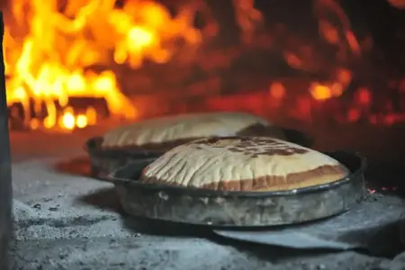 ولاية تركية تخصص "مخبراً خاصاً" لإطعام الدببة ولاية تركية تخصص "مخبراً خاصاً" لإطعام الدببة