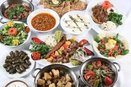 معايير الجودة الجديدة وتأثيرها على تجربة السائح العربي.