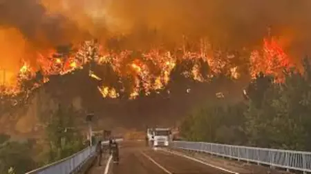 96٪ من حرائق غابات تركيا في 2026 سببها الإنسان