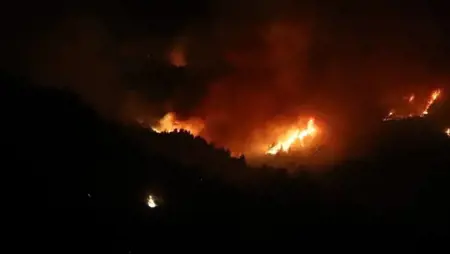 مصرع 12 شخصاً في حرائق غابات بالجزائر