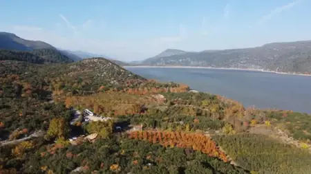 مع ارتفاع درجات الحرارة.. تركيا تحظر دخول الغابات في موغلا مع ارتفاع درجات الحرارة.. تركيا تحظر دخول الغابات في موغلا