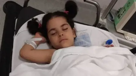 طفلة ذات 5 سنوات تتعرض لهجوم وحشي من قبل 7 كلاب ضالة في أنقرة طفلة ذات 5 سنوات تتعرض لهجوم وحشي من قبل 7 كلاب ضالة في أنقرة