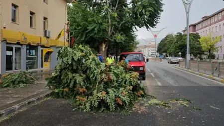 عاجل:الأرصاد الجوية في تركيا تحذر  من رياح قوية وعواصف جنوب شرق الأناضول عاجل:الأرصاد الجوية في تركيا تحذر  من رياح قوية وعواصف جنوب شرق الأناضول