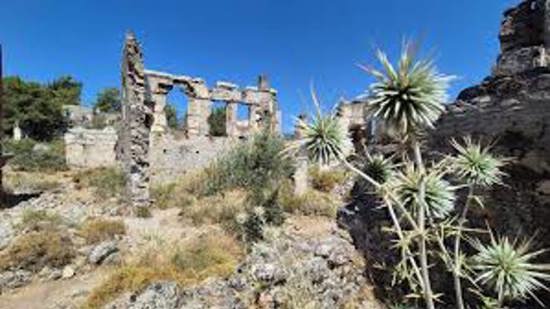 من “قرية أشباح” إلى وجهة سياحية.. قصة لُبّي