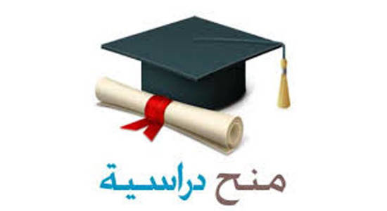 دليل التقديم على المنح