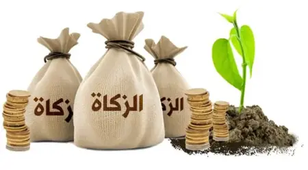 كم ستكون قيمة زكاة الفطر في تركيا لهذا العام!