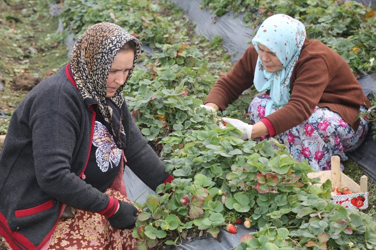 ينابيع "باموق قلعة" في ولاية "دنيزلي" التركية