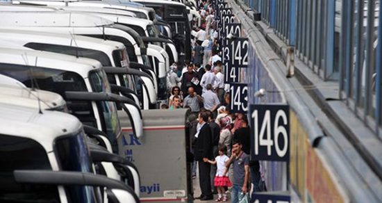 قواعد جديدة لنقل الحيوانات الأليفة بالحافلات العامة في تركيا