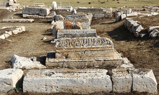 صور :مقبرة السلاجقة التاريخية في مدينة وان التركية