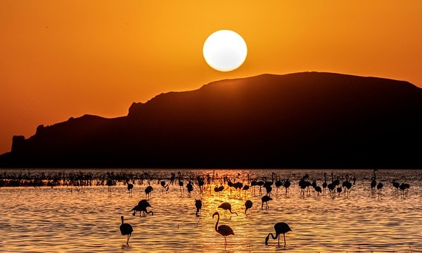 صور من الحياة اليومية والأسواق في ولاية إسطنبول