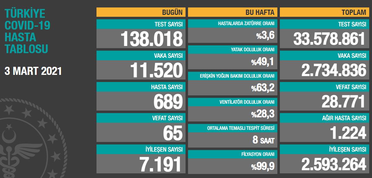 حقول ولاية تونج إيلي التركية تتزين بزهور التوليب المقلوبة